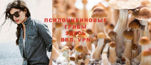 соль ск Пролетарск
