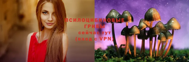 Галлюциногенные грибы MAGIC MUSHROOMS  Томск 