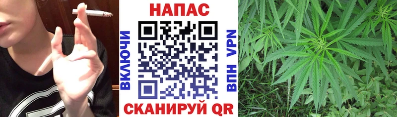 Шишки марихуана план сколько стоит Томск